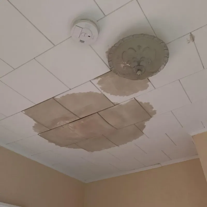 Ceiling Water Damage Repair in Enoch, UT
