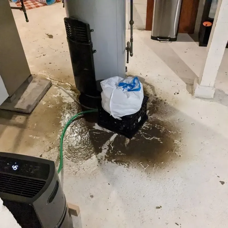 Sewage Backup Cleanup Service in Enoch, UT